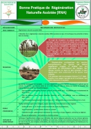 Bonne Pratique de Régénération Naturelle Assistée (RNA)