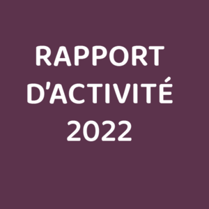 Rapport d'activité 2022