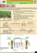 Fiche LCD : bandes enherbées