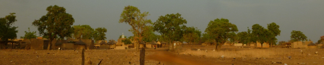 Changement climatique sahel